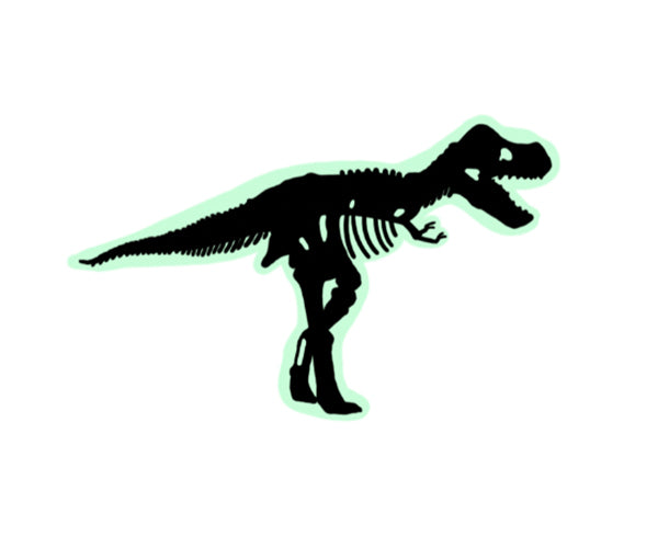 JIBBITZ™ GLOW IN THE DARK DINO