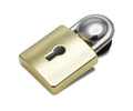 JIBBITZ™ PADLOCK DANGLE