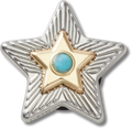 JIBBITZ™ CHARM SILVER TURQUOISE STAR