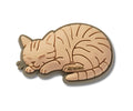 JIBBITZ™ CHARM Tabby Cat