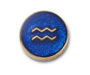 JIBBITZ™ CHARM Gold Aquarius