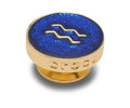 JIBBITZ™ CHARM Gold Aquarius