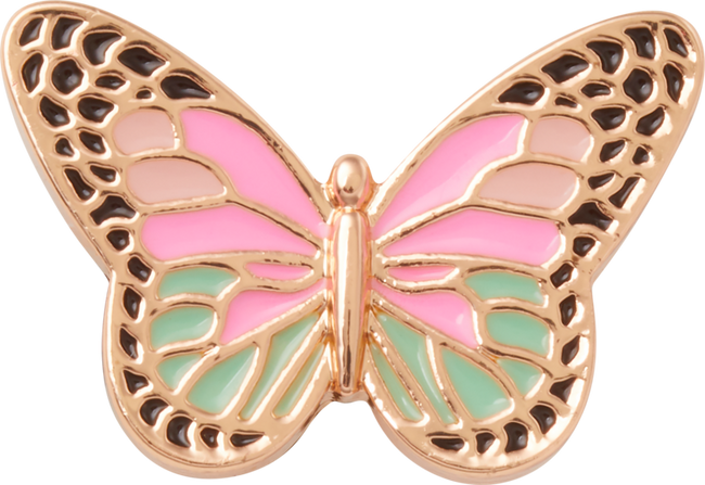 Elevated Colorful Butterfly