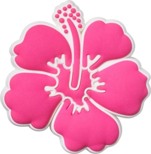 Pink Hibiscus